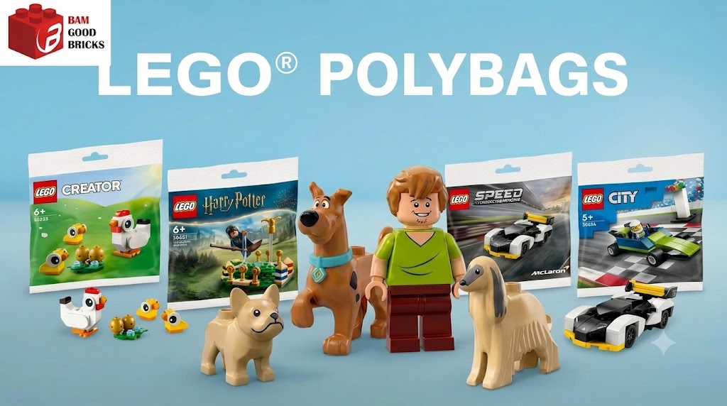 What Are LEGO Polybags? Are They Still Worth It in 2026?
