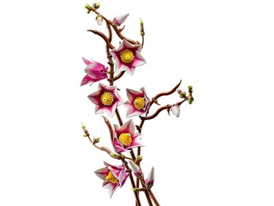 LEGO® Botanicals 11510-1 Magnolia Branches
