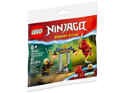 LEGO® Polybag – Ninjago 30650-1 Kai and Rapton's Temple Battle