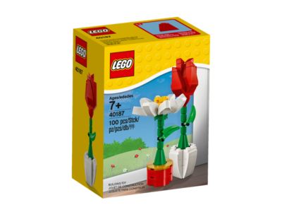 LEGO® Holiday & Event 40187 - Flower Display Preowned Building Kit