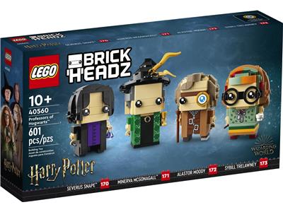 LEGO® Harry Potter 40560 - Professors of Hogwarts Preowned Building Kit