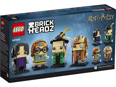 LEGO® Harry Potter 40560 - Professors of Hogwarts Preowned Building Kit