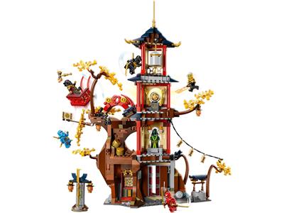 LEGO® Ninjago 71795-1 Temple of the Dragon Energy Cores