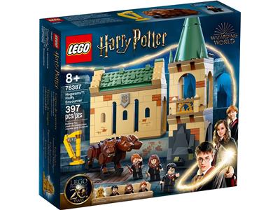 LEGO® Harry Potter 76387 - Hogwarts Fluffy Encounter Preowned Building Kit