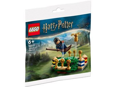 LEGO® Polybag – Harry Potter 30651-1 Quidditch Pratice