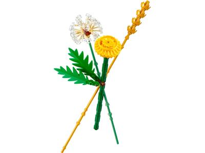 LEGO® Polybag – Botanicals 30701-1 - Field Flowers paper bag /