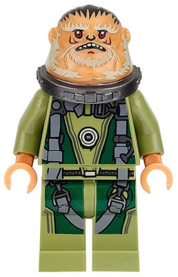 Preowned LEGO® Minifigure – Star Wars sw0780 Bistan