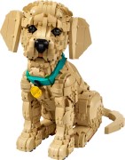 LEGO® Creator 11384-1 Golden Retriever Puppy