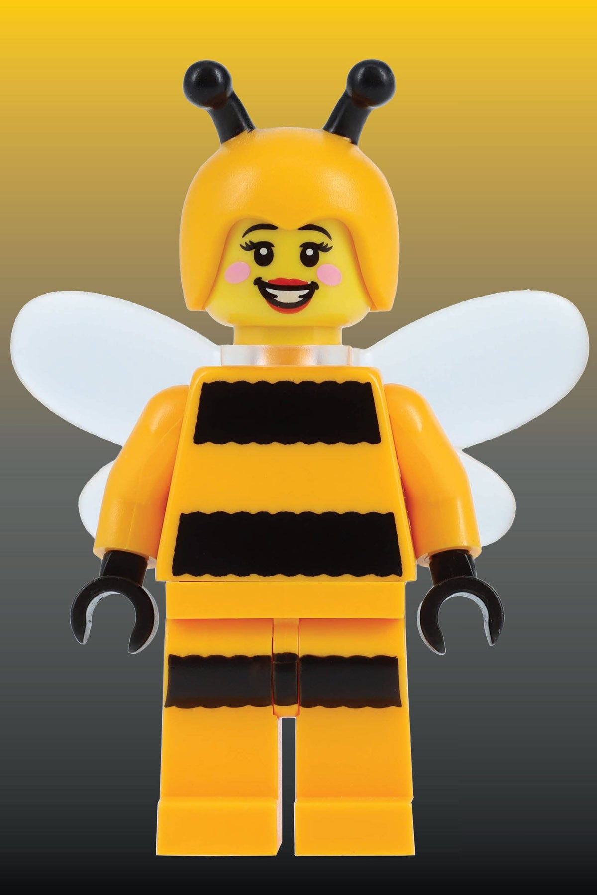 LEGO Mystery Minifigure Puzzles Animal Edition 12 Copy