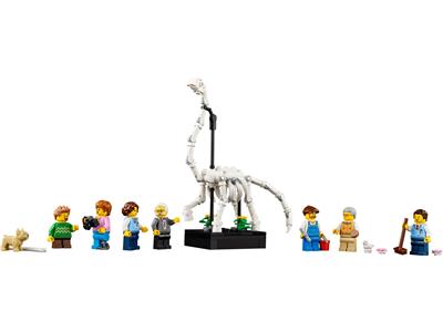 LEGO® Creator 10326 - Natural History Museum Preowned Building Kit