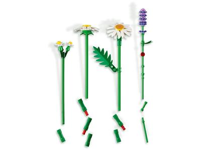 LEGO® Botanicals 11508-1 Daisies