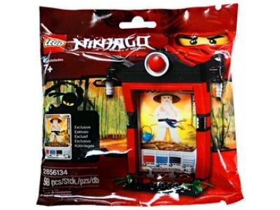 LEGO® Ninjago 2856134-1 - Ninjago Card Shrine