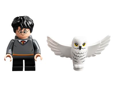 LEGO® Harry Potter 30420-1 PNB Harry Potter and Hedwig: Owl Delivery Polybag