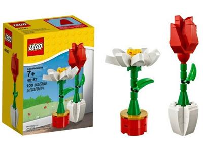 LEGO® Holiday & Event 40187 - Flower Display Preowned Building Kit
