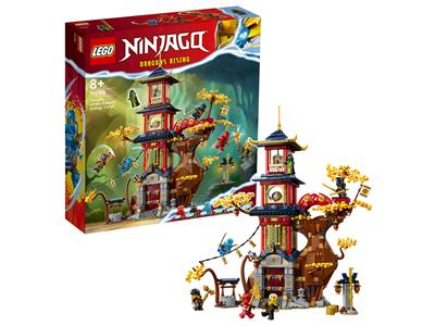 LEGO® Ninjago 71795-1 Temple of the Dragon Energy Cores