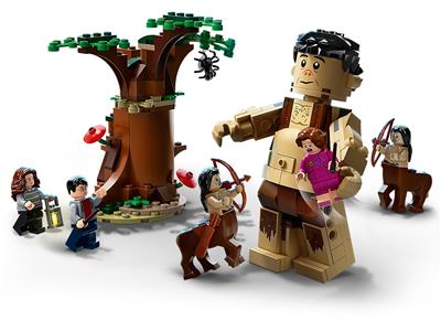 LEGO® Harry Potter 75967 Forbidden Forest: Umbridges Encounter Building Kit