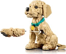 LEGO® Creator 11384-1 Golden Retriever Puppy